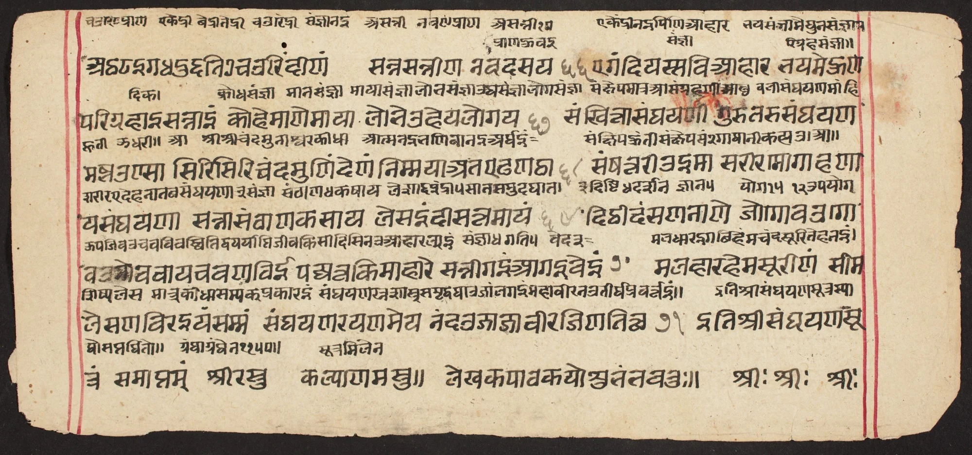 Tantric Manuscript "Sangrahani Sutra", detail