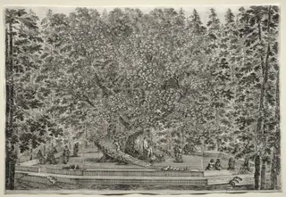 Views of the Villa of Pratolino:  The Inhabited Tree, by Stefano Della Bella, 1653