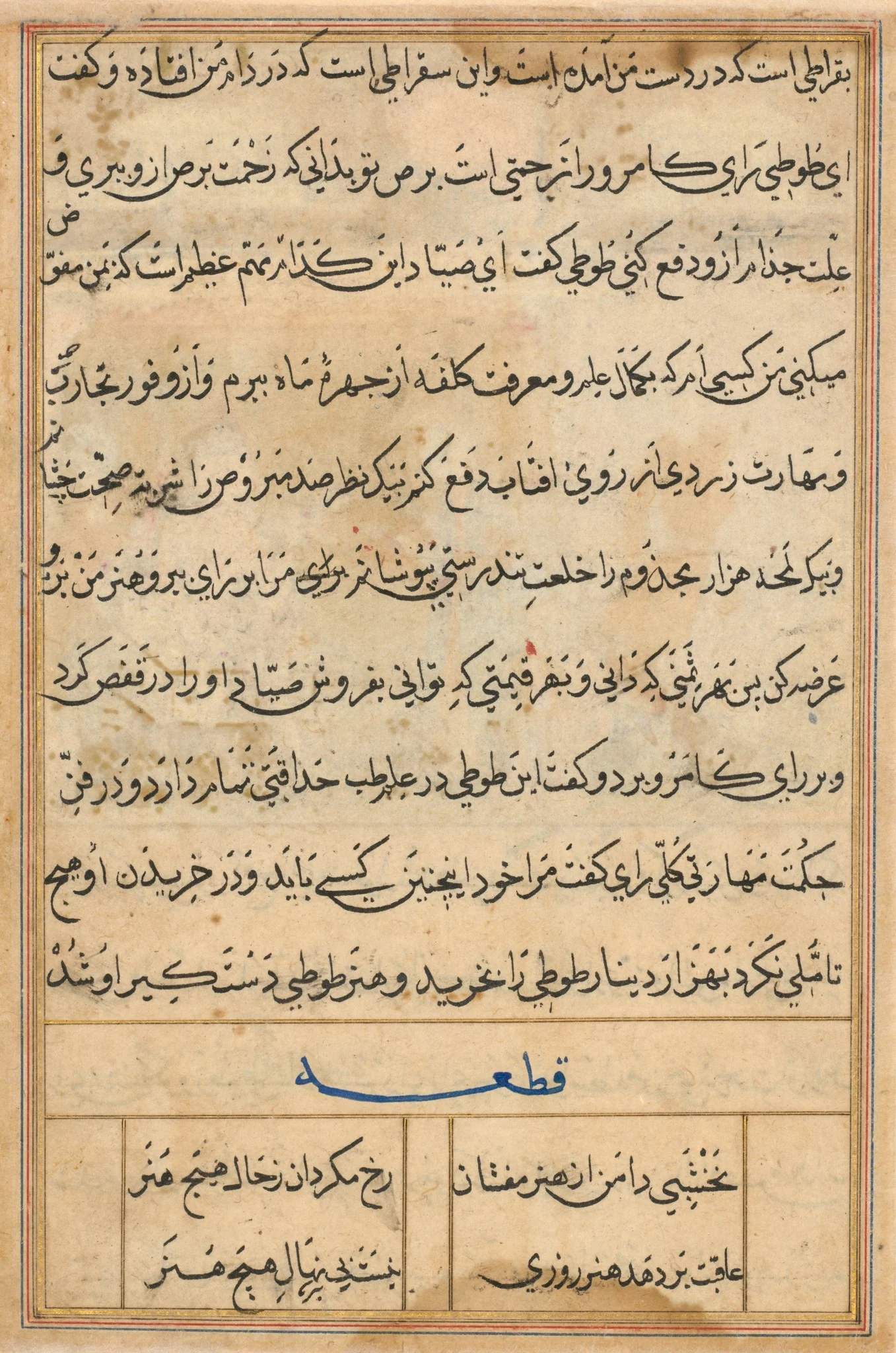 Page from Tales of a Parrot (Tuti-nama): text page, detail