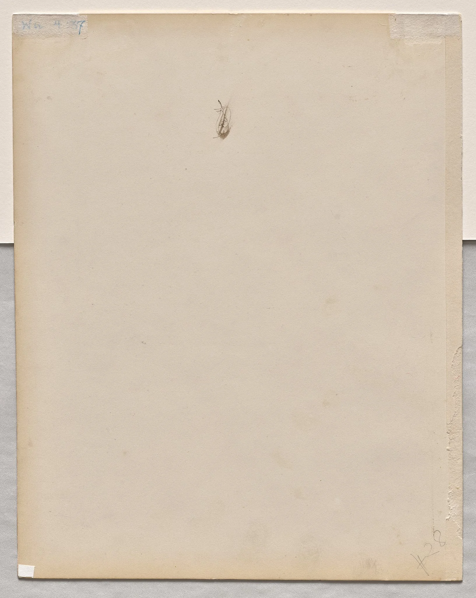 Face in Profile (verso), detail