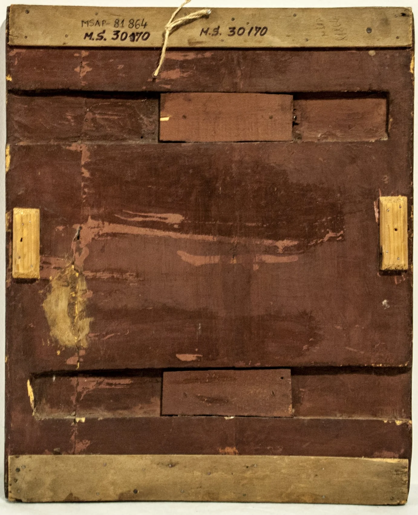 Compmeseaica, detail