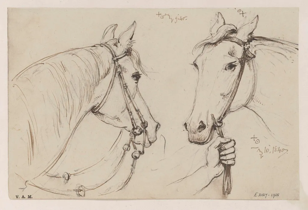 Two drawings of a horse's head, by George Chinnery, 10