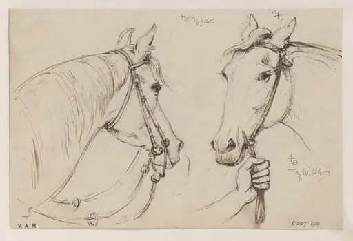 Two drawings of a horse's head, by George Chinnery, 10