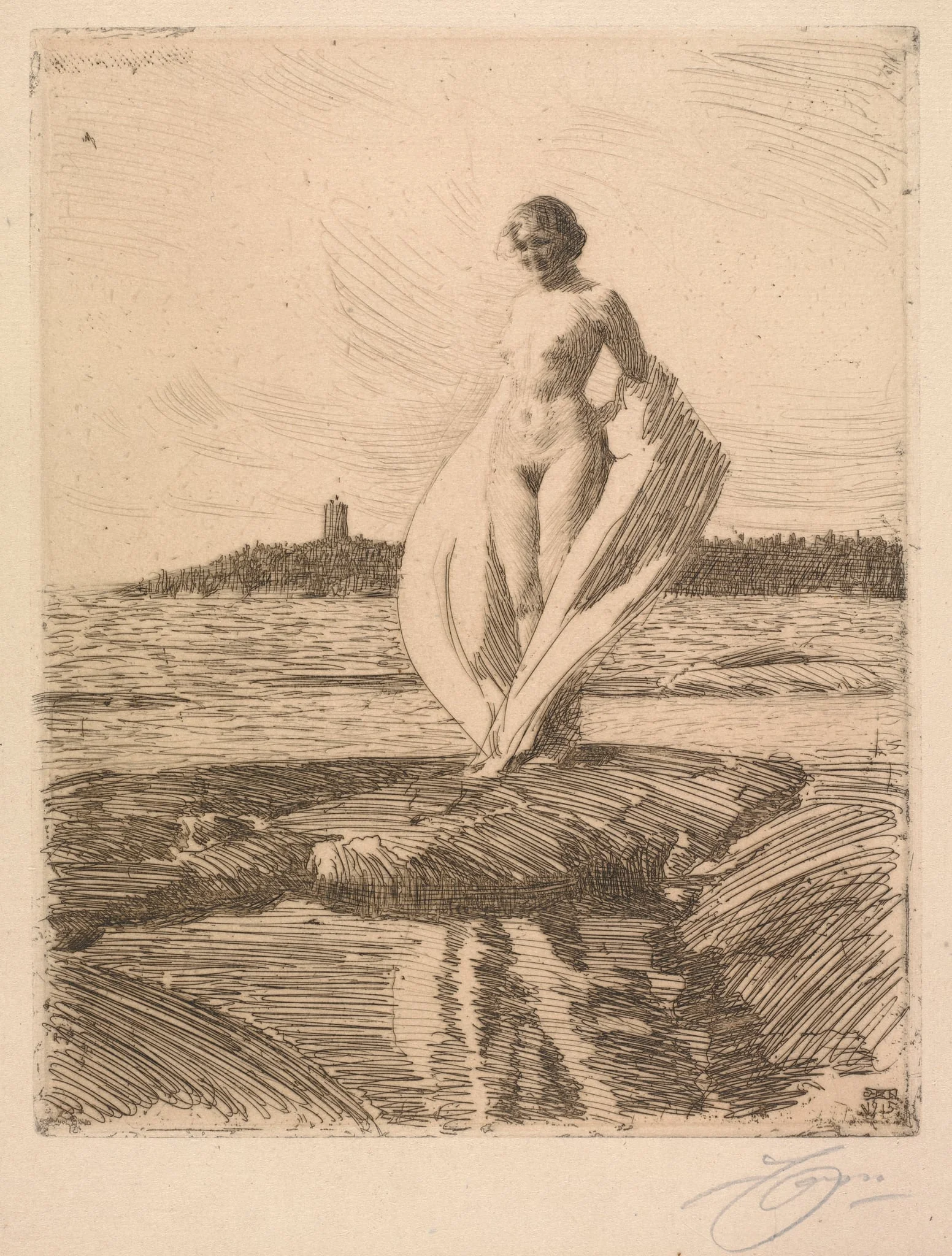 The Swan, detail