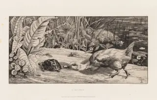 The Unknown (L'Inconnu), by Félix Bracquemond, 1862