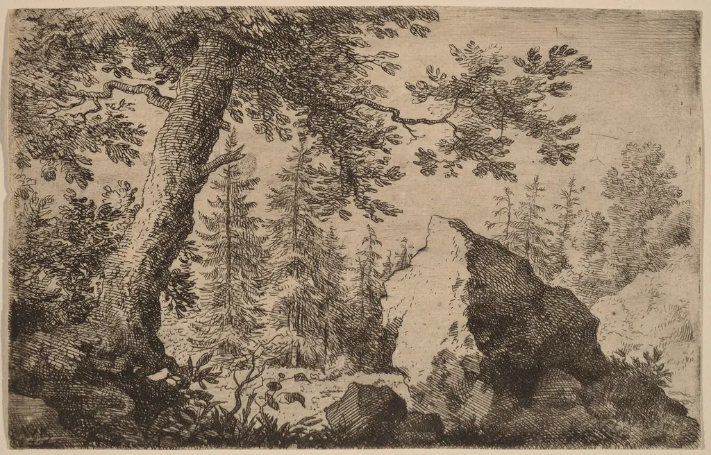 Boulder in the Woods, by Allart van Everdingen, ink, 1650