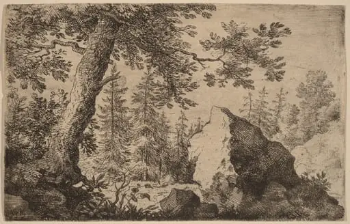 Boulder in the Woods, by Allart van Everdingen, ink, 1650
