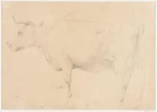 Study of a cow, by Thomas Sidney Cooper, 1850