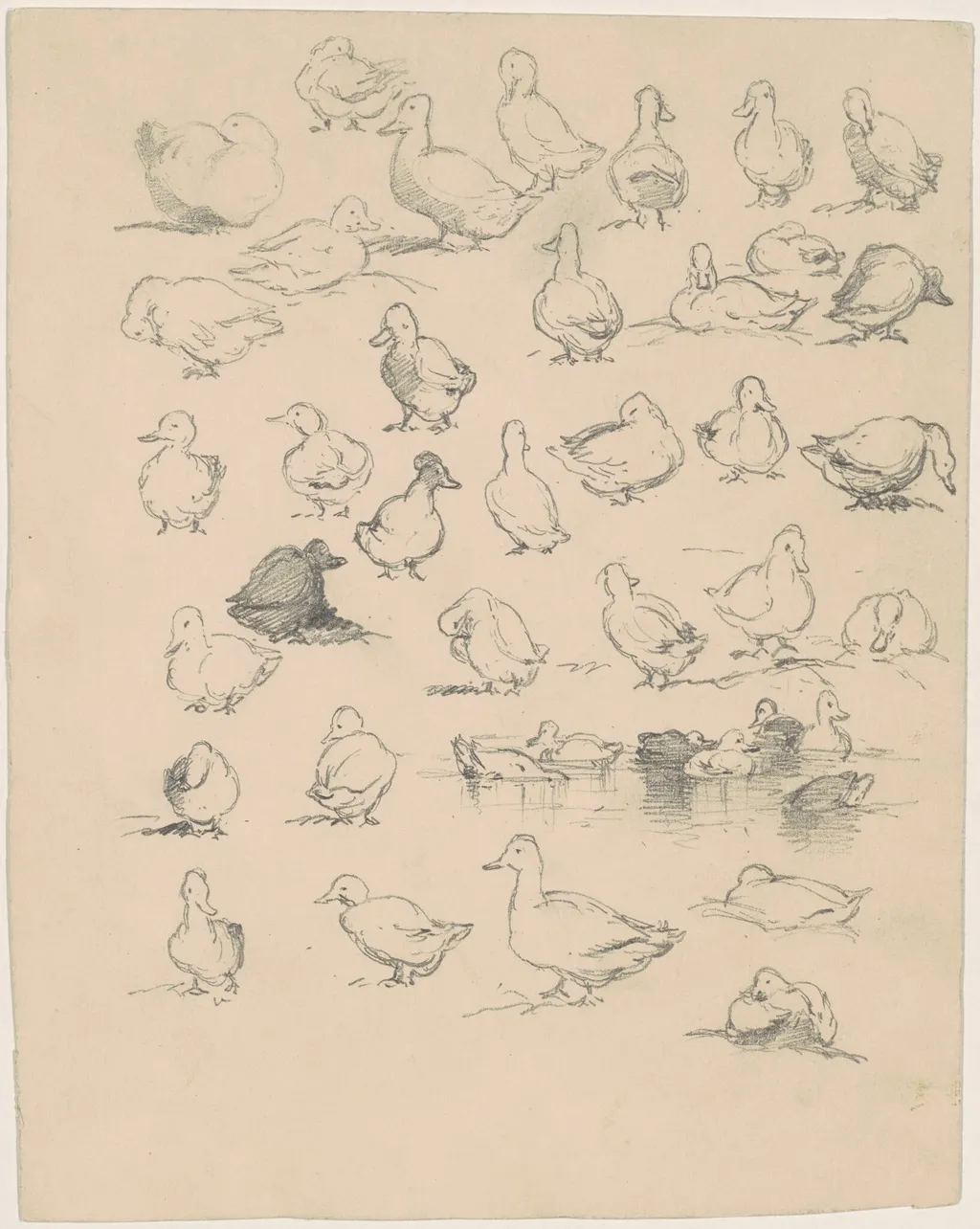 Ducks, by Andrew Fisher Bunner, graphite, 1880