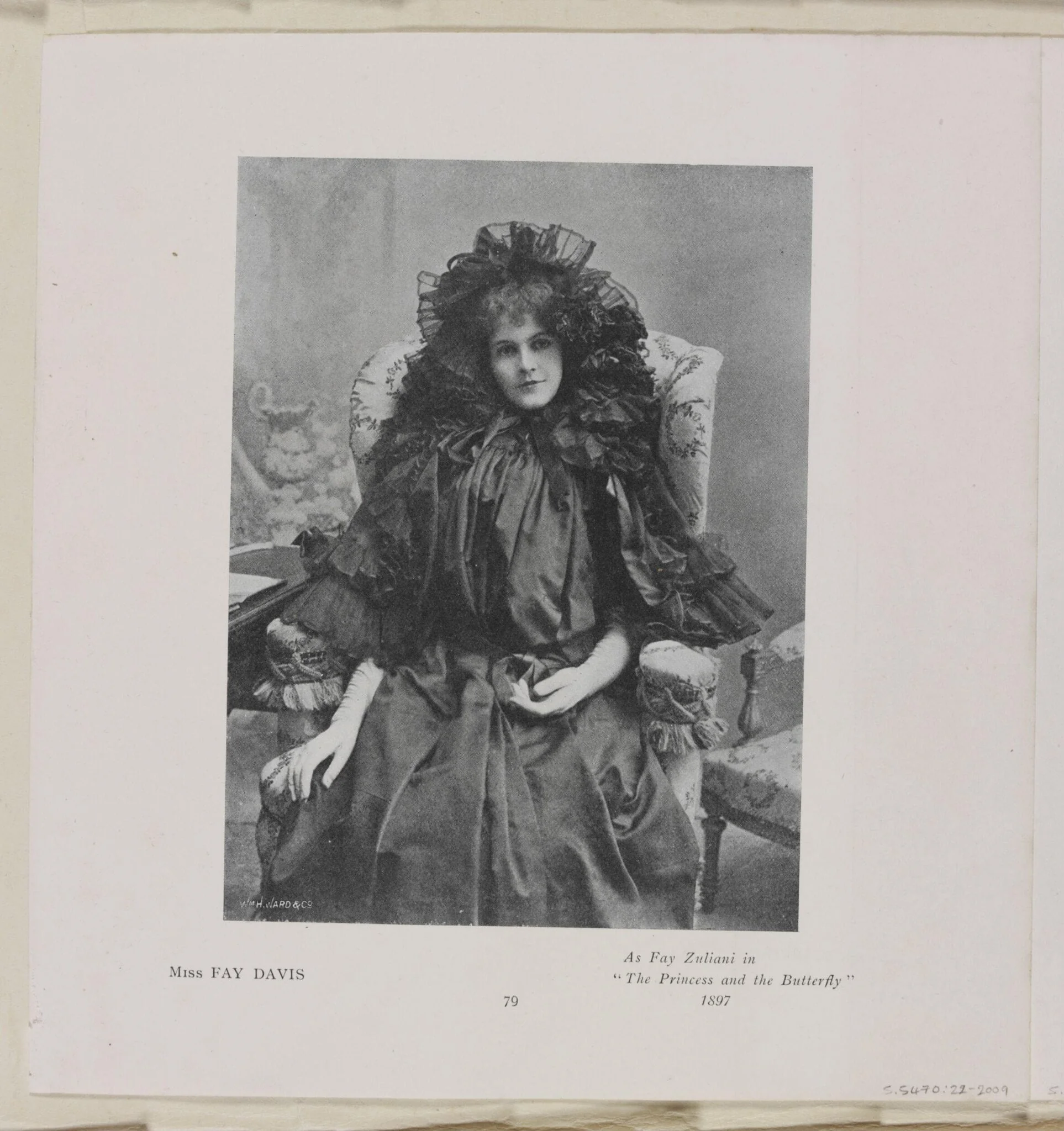 H Beard Print Collection, detail