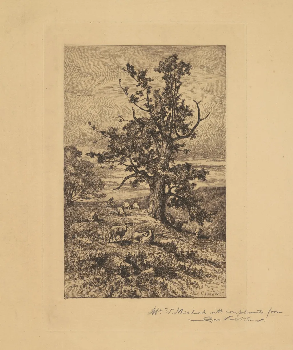 Landscape with Sheep, by Charles Volkmar, ink, 1876