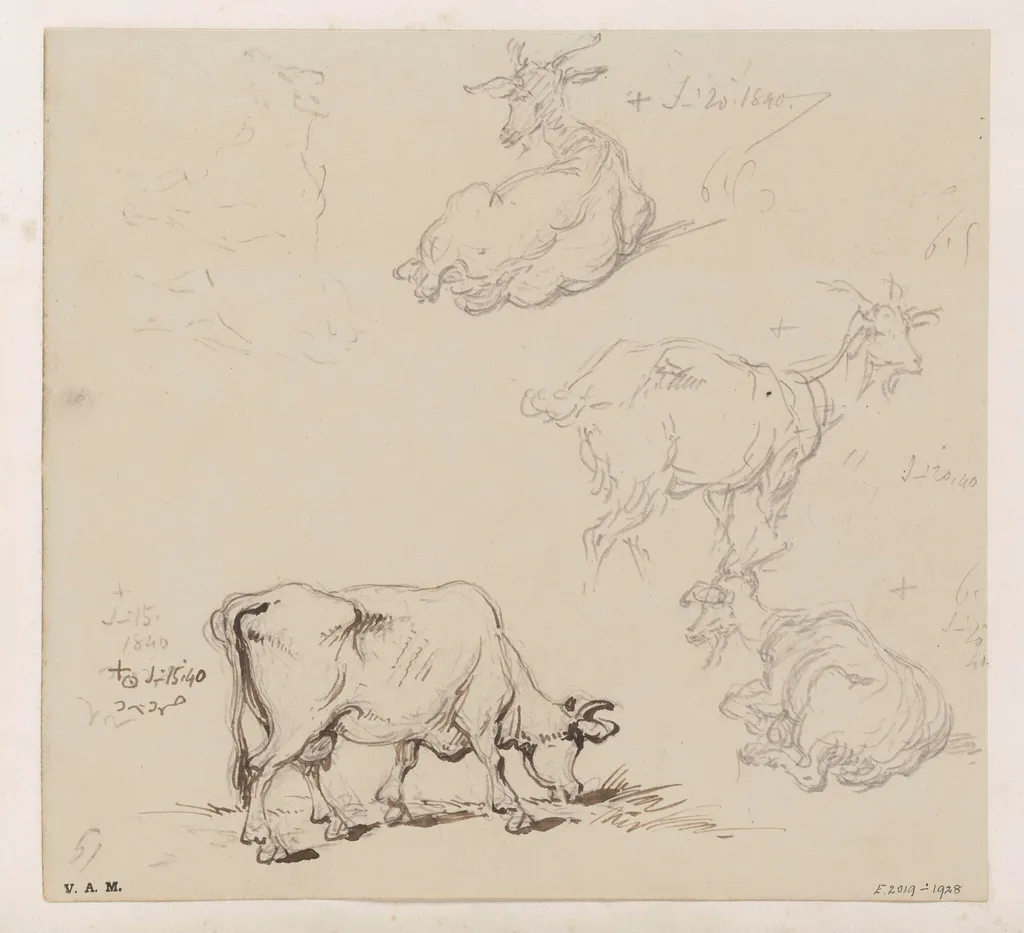 Cows and goats, by George Chinnery, 11