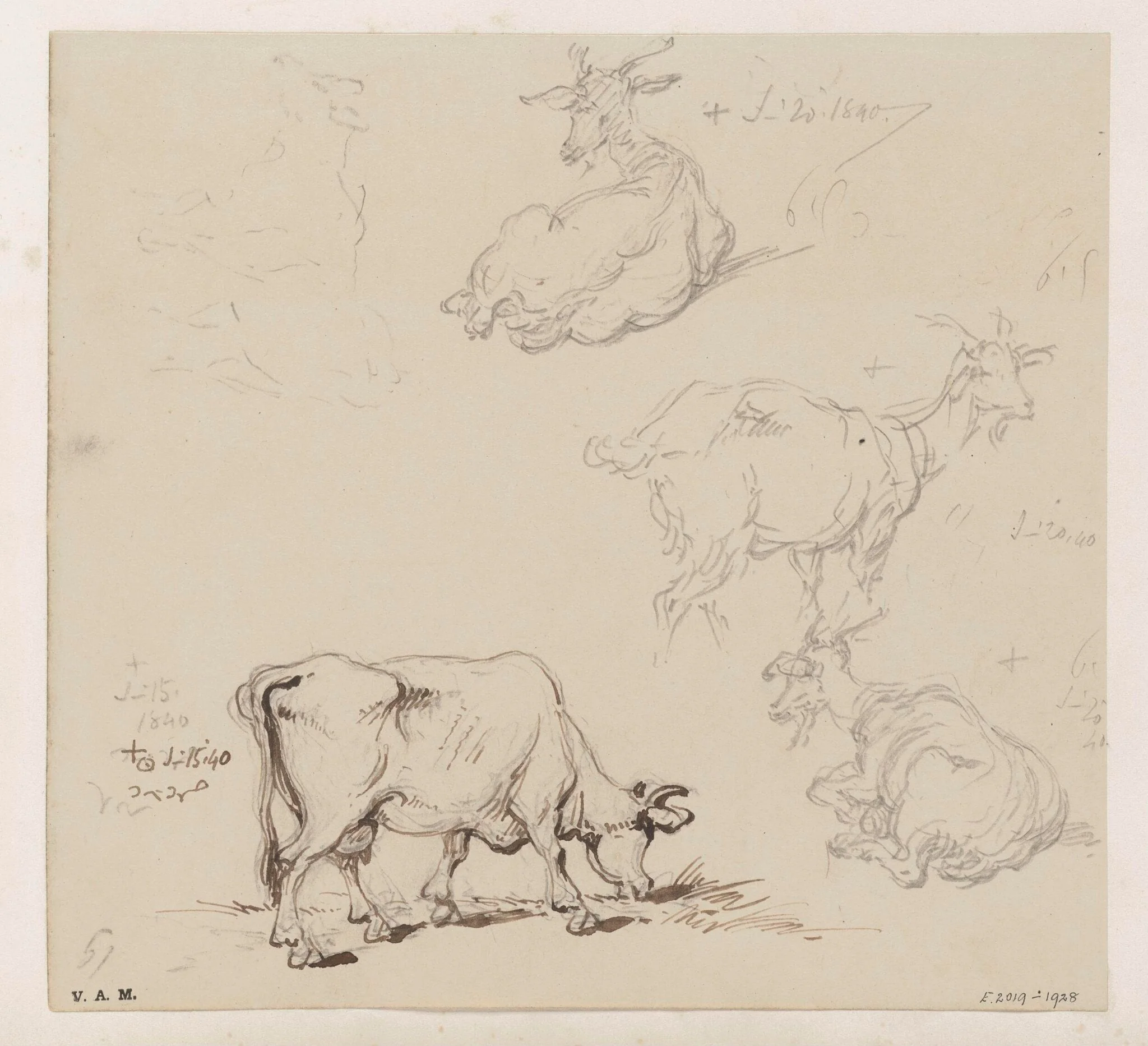 Cows and goats, detail