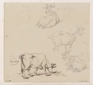 Cows and goats, by George Chinnery, 11
