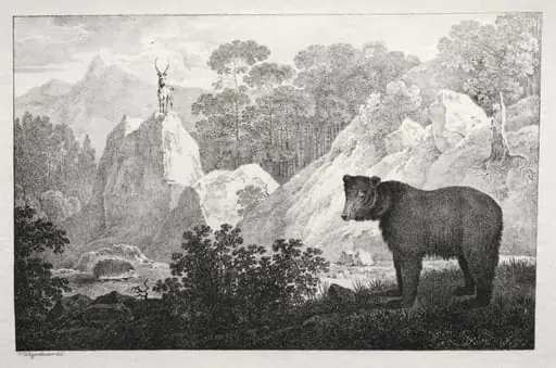 Mountainous Landscape with Bear in the Foreground, by Maximilian Josef Wagenbauer, 1811