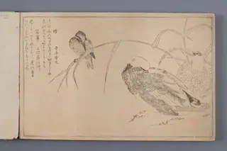 Kaczki i zimorodek (ilustracja z albumu Momo chidori kyōka awase) - zeszyt, w którym przedstawione są kolejne etapy wykonywania odbitki z drzeworytu., by Original woodcut autor 喜多川 歌麿 Kitagawa surname Utamaro name, 1350
