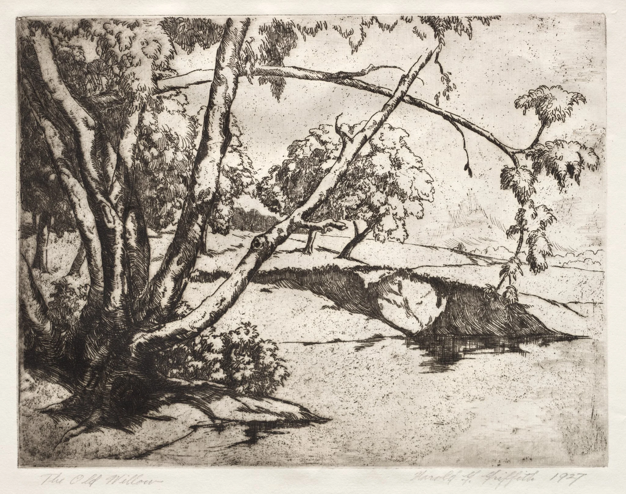 The Old Willow, detail