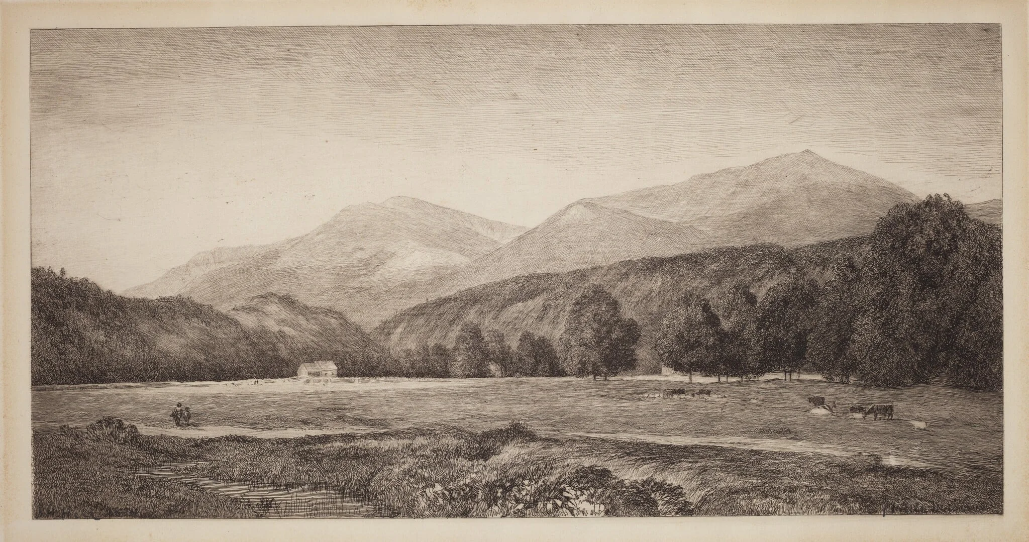 White Mountains, detail