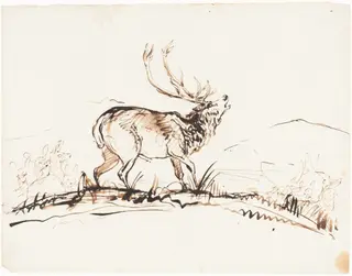 A Bellowing Stag, by Edwin, Sir Landseer, ink, 1845