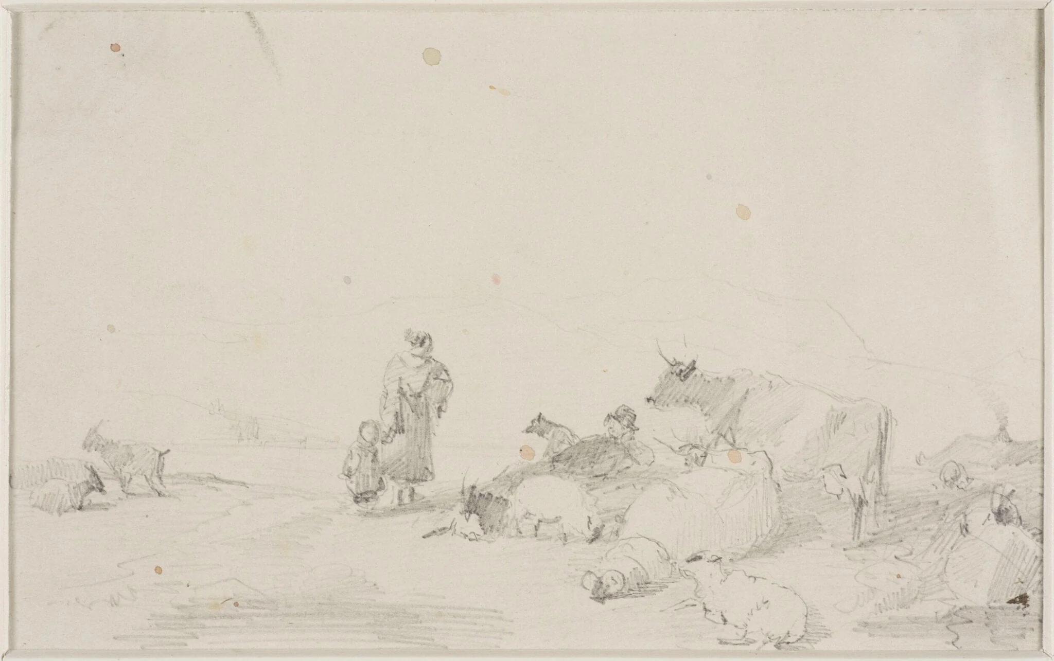 Cattle, sheep and goats, detail