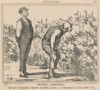 Faut que je egardions comment qu'murit l'raisin ..., by Honoré Daumier, ink, 1857