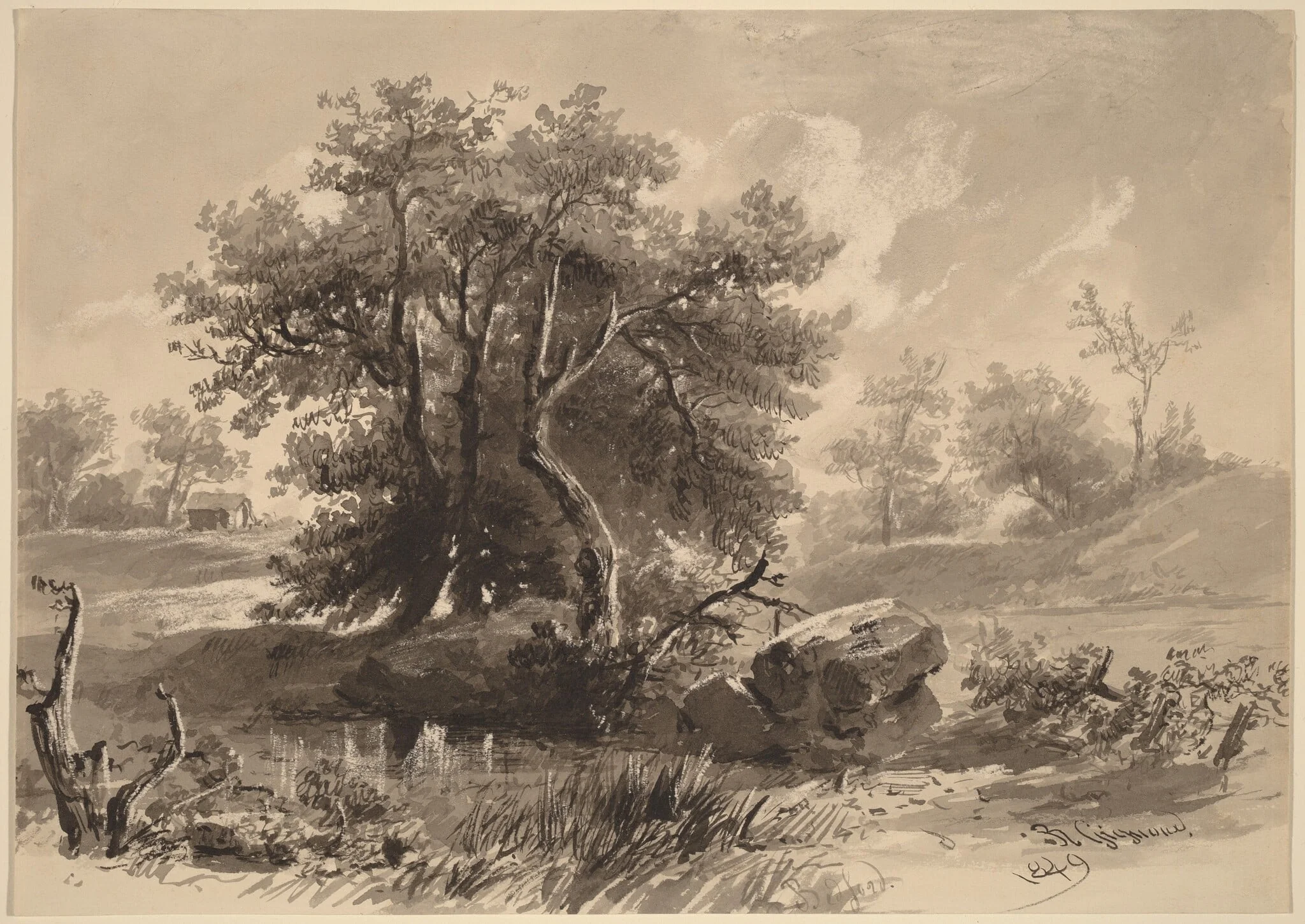 The Trees, Bedford, New York, detail