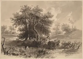 The Trees, Bedford, New York, by Régis François Gignoux, ink, 1849
