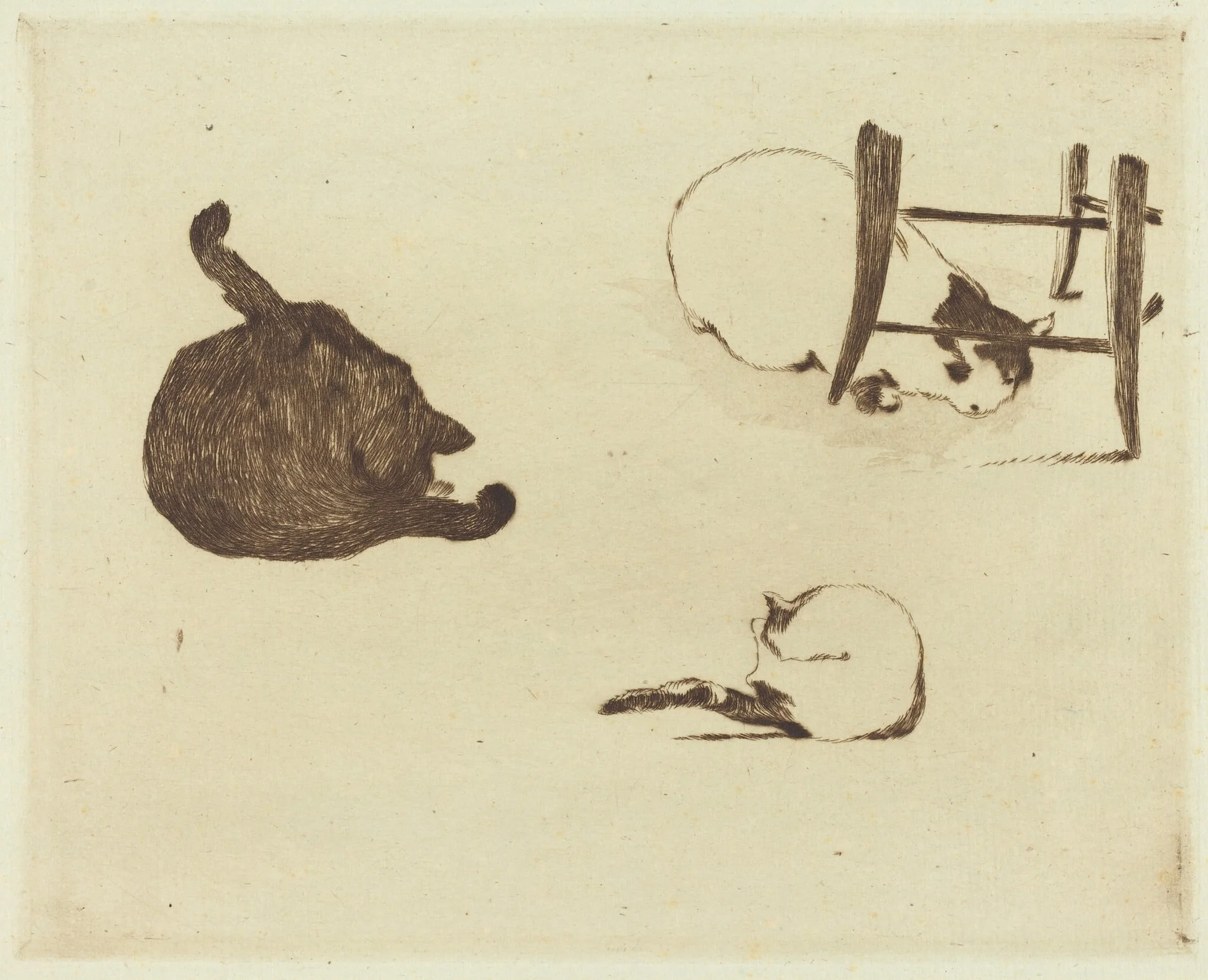 The Cats (Les chats), detail