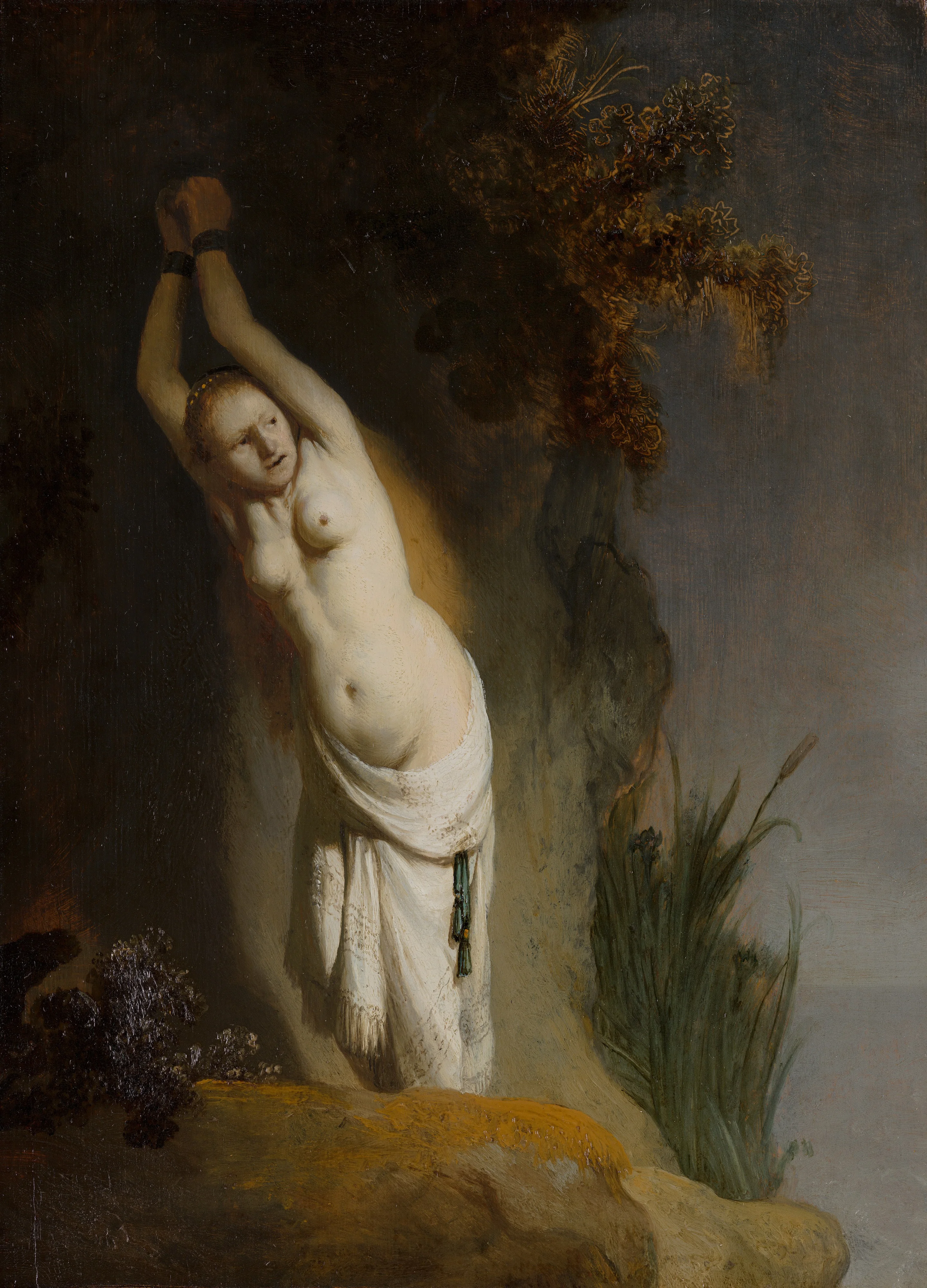 Andromeda Chained to the Rocks, detail