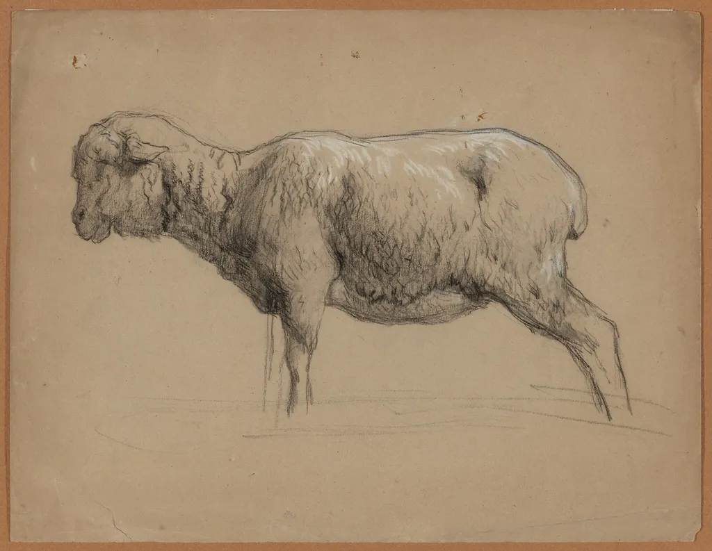 A Sheep, by Jean-Ferdinand Chaigneau, chalk, 1864