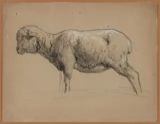 A Sheep, by Jean-Ferdinand Chaigneau, chalk, 1864
