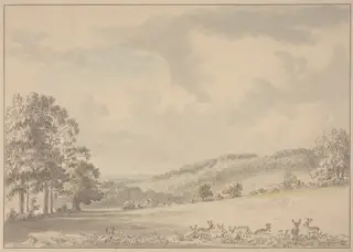 Deer Resting in Albury Park, by Anthony Devis, graphite, 1780