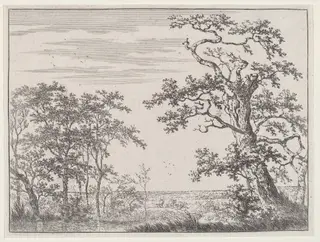 Landscape with a Stream and an Ancient Tree, by Adriaen Hendricks Verboom, ink, 1664
