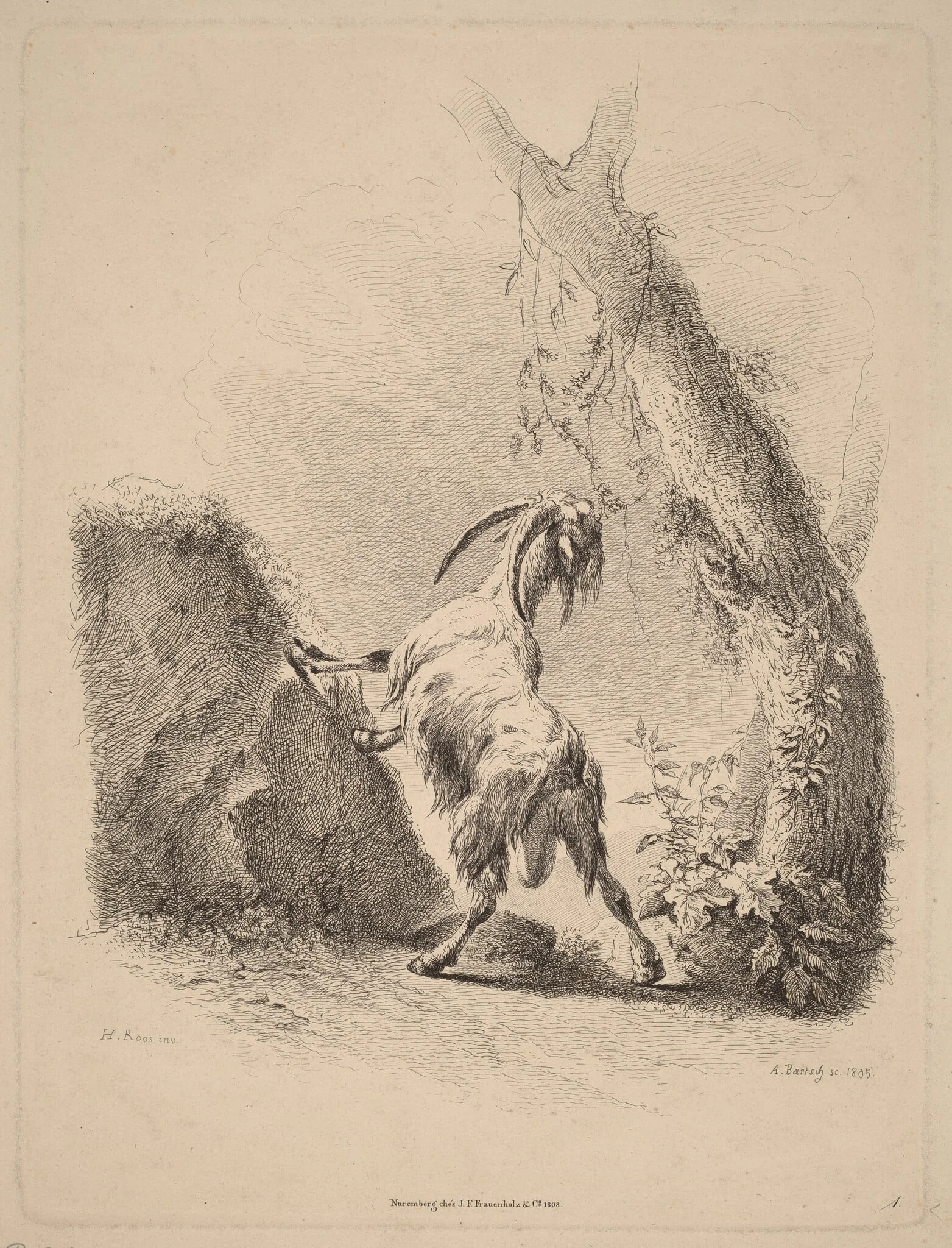 Goat in a Landscape, detail