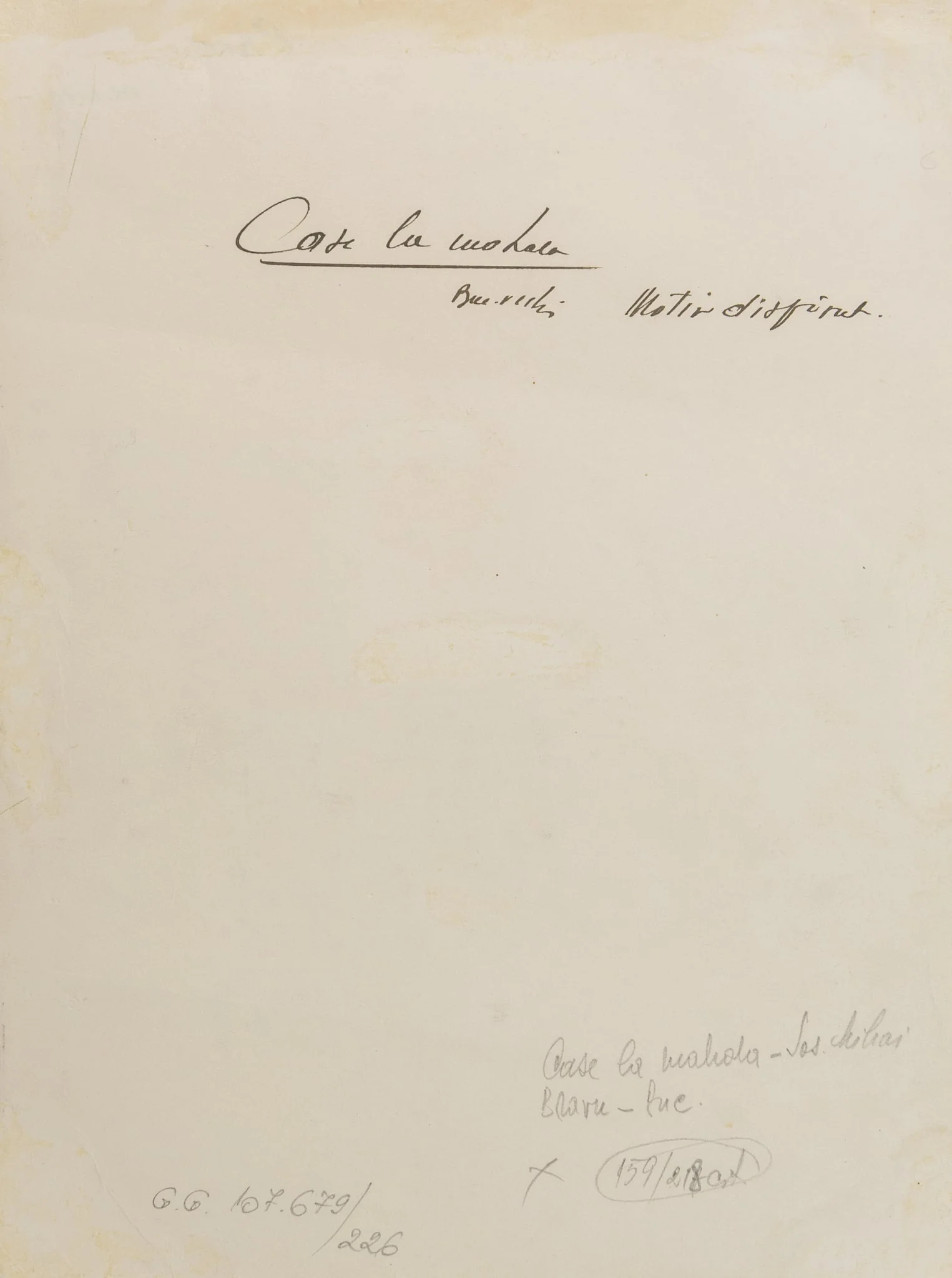 CASE DIN MAHALA – ȘOS. MIHAI BRAVU, detail