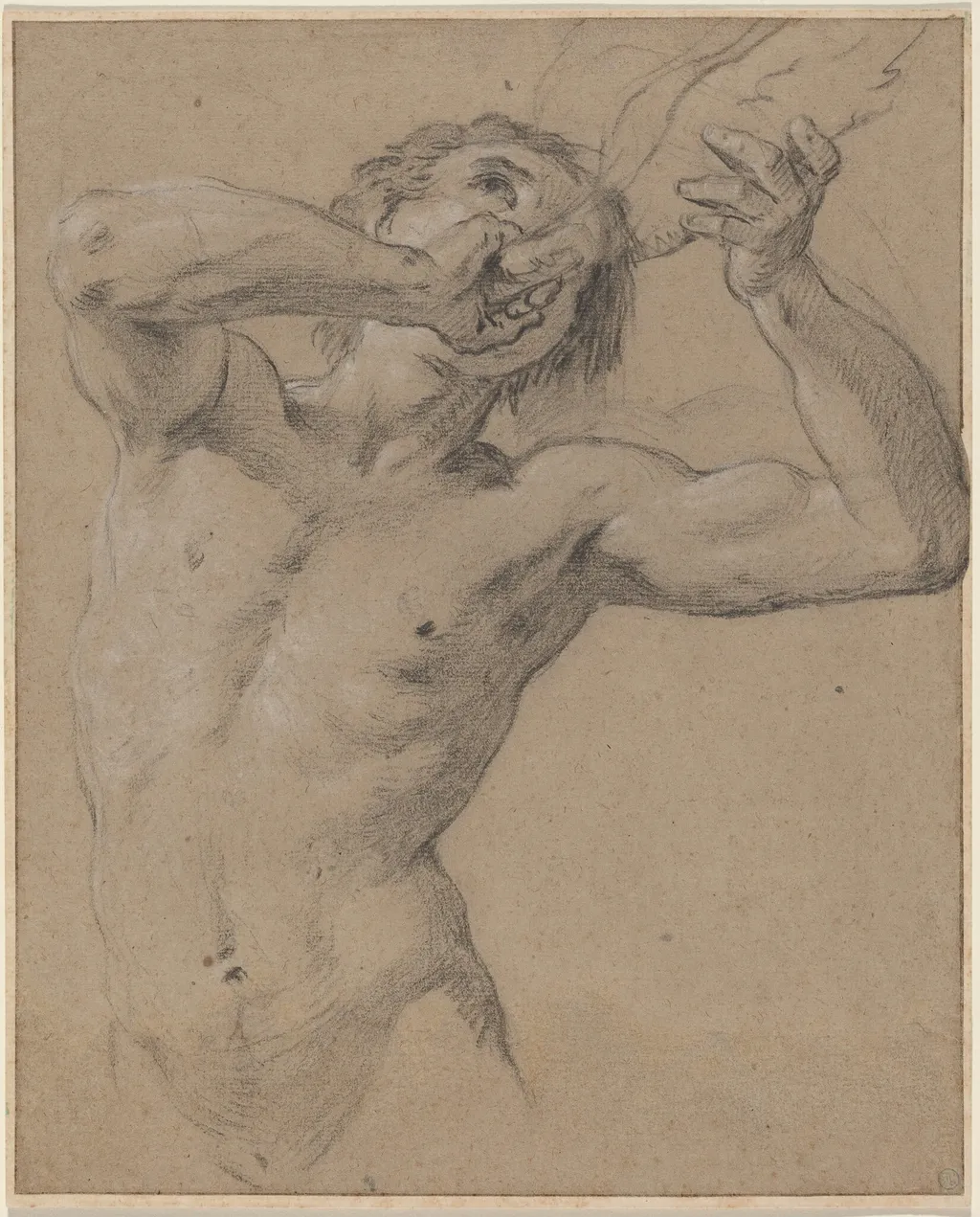 A Triton Blowing a Conch Shell, by Jean-Baptiste Nattier, chalk, 1724