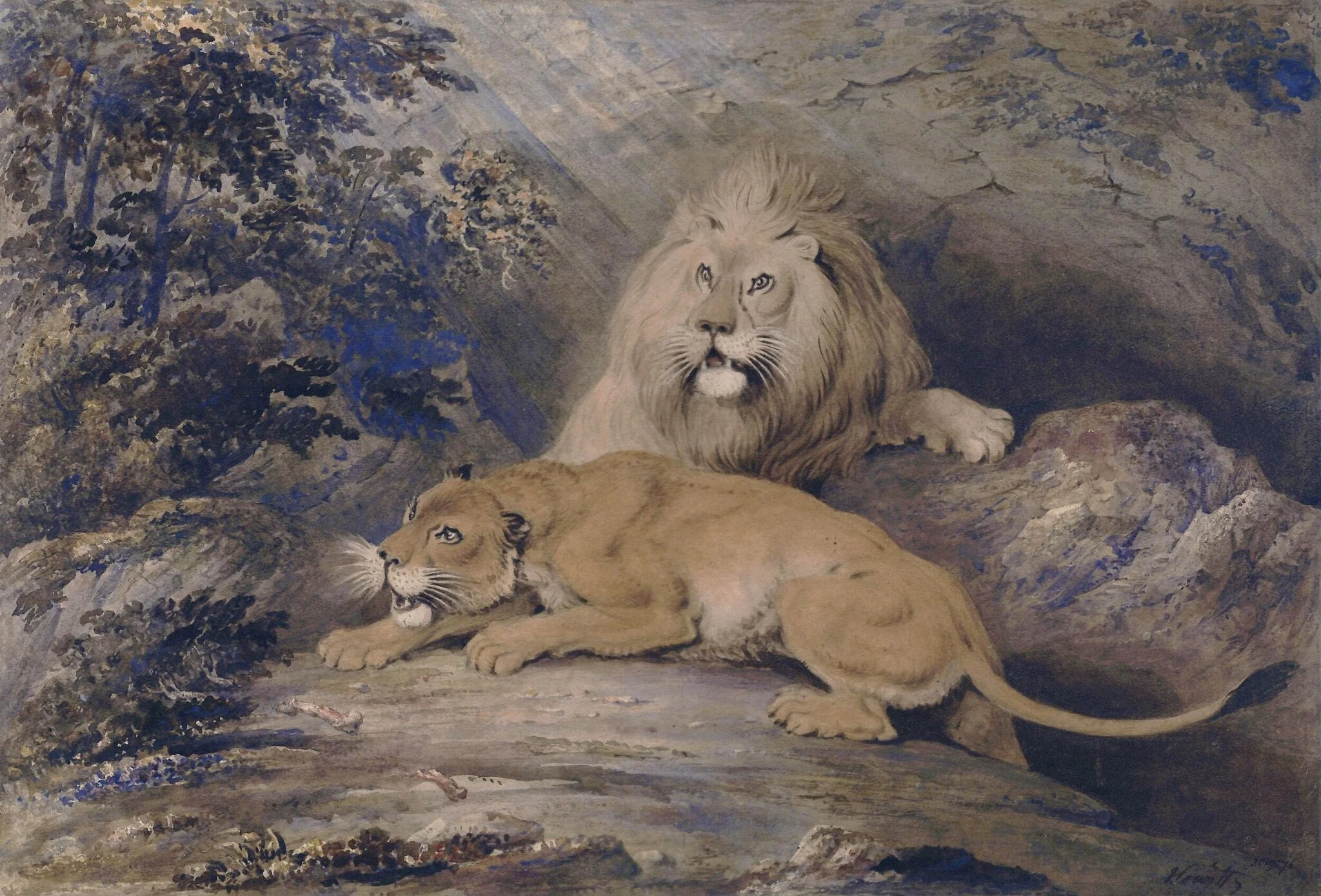 Lion and lioness, detail