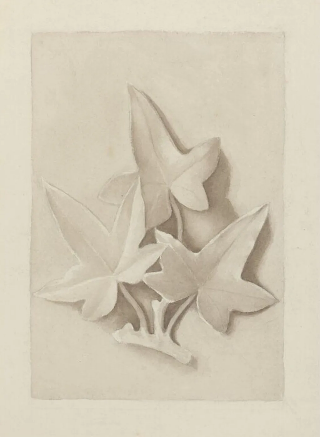 Drawing of a plaster cast featuring three ivy leaves, by Beatrix Potter, watercolor, 1879