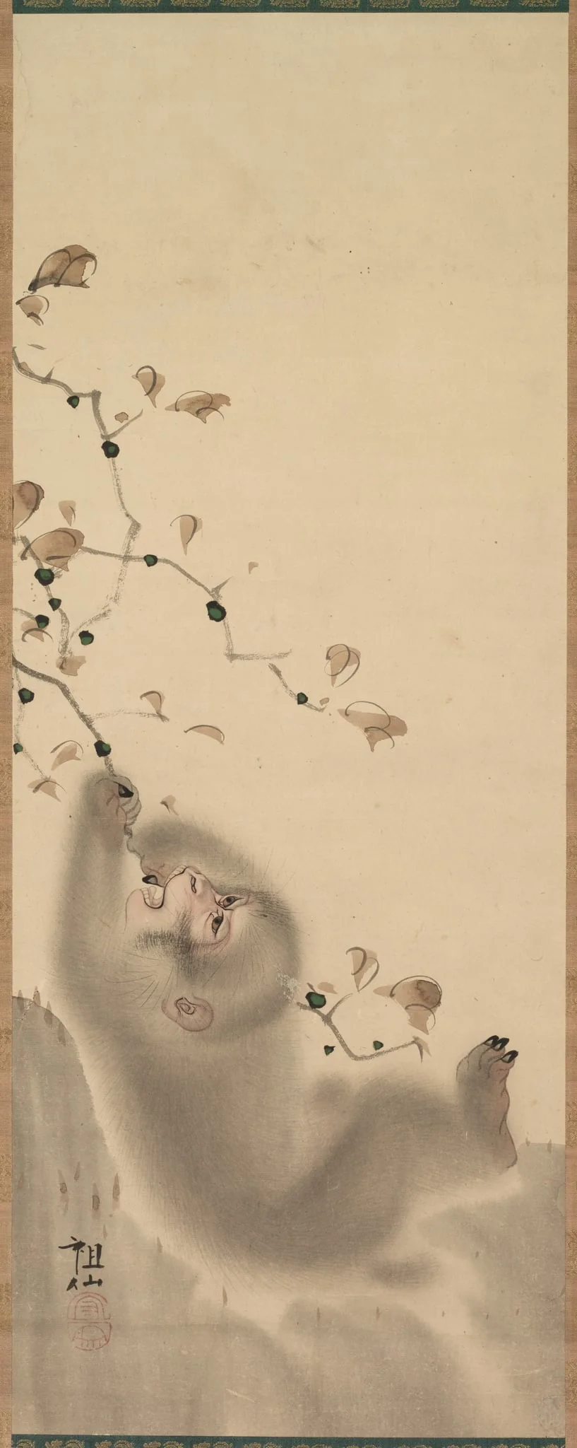 Monkey Hanging on to a Branch, detail