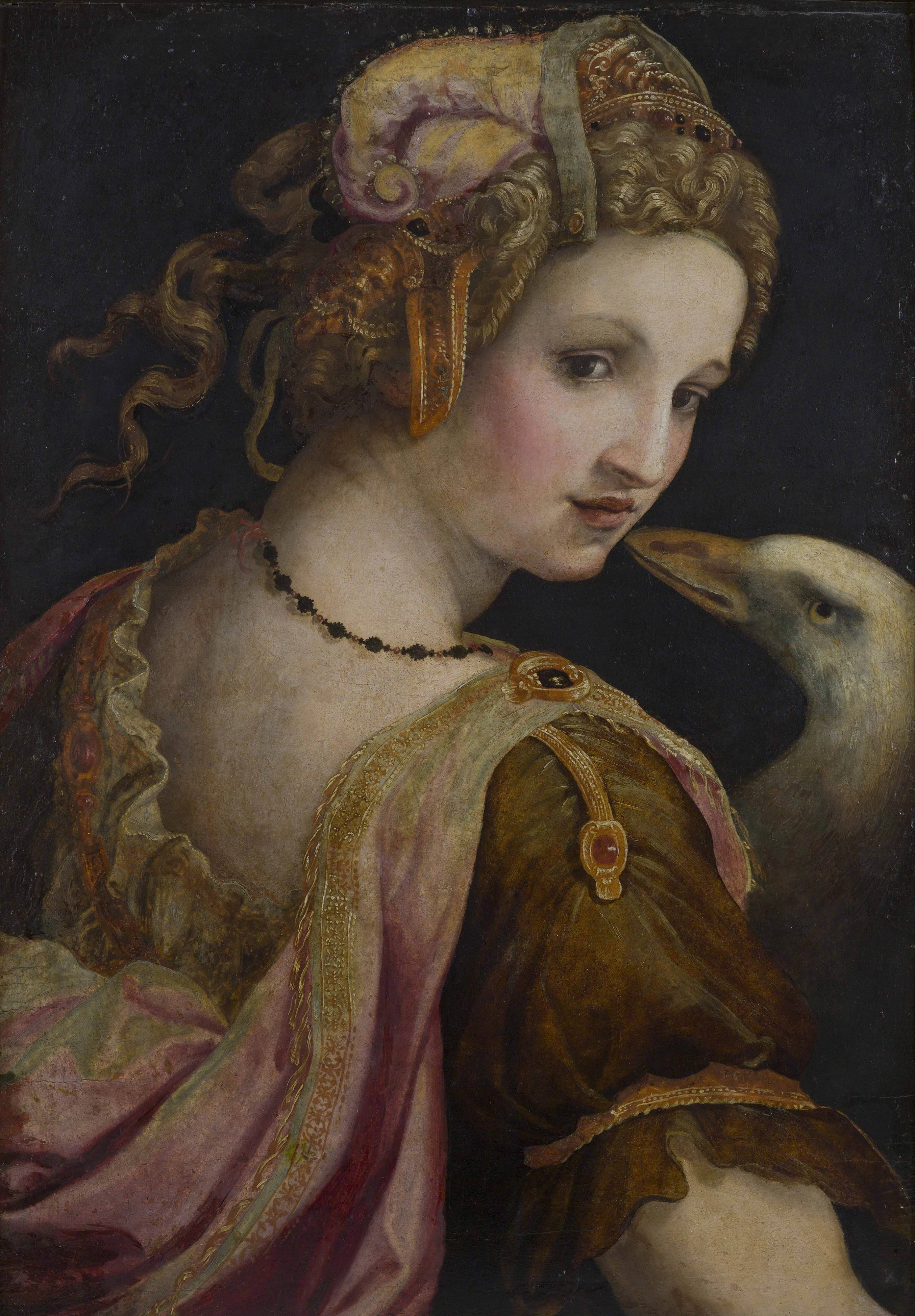 Léda, detail