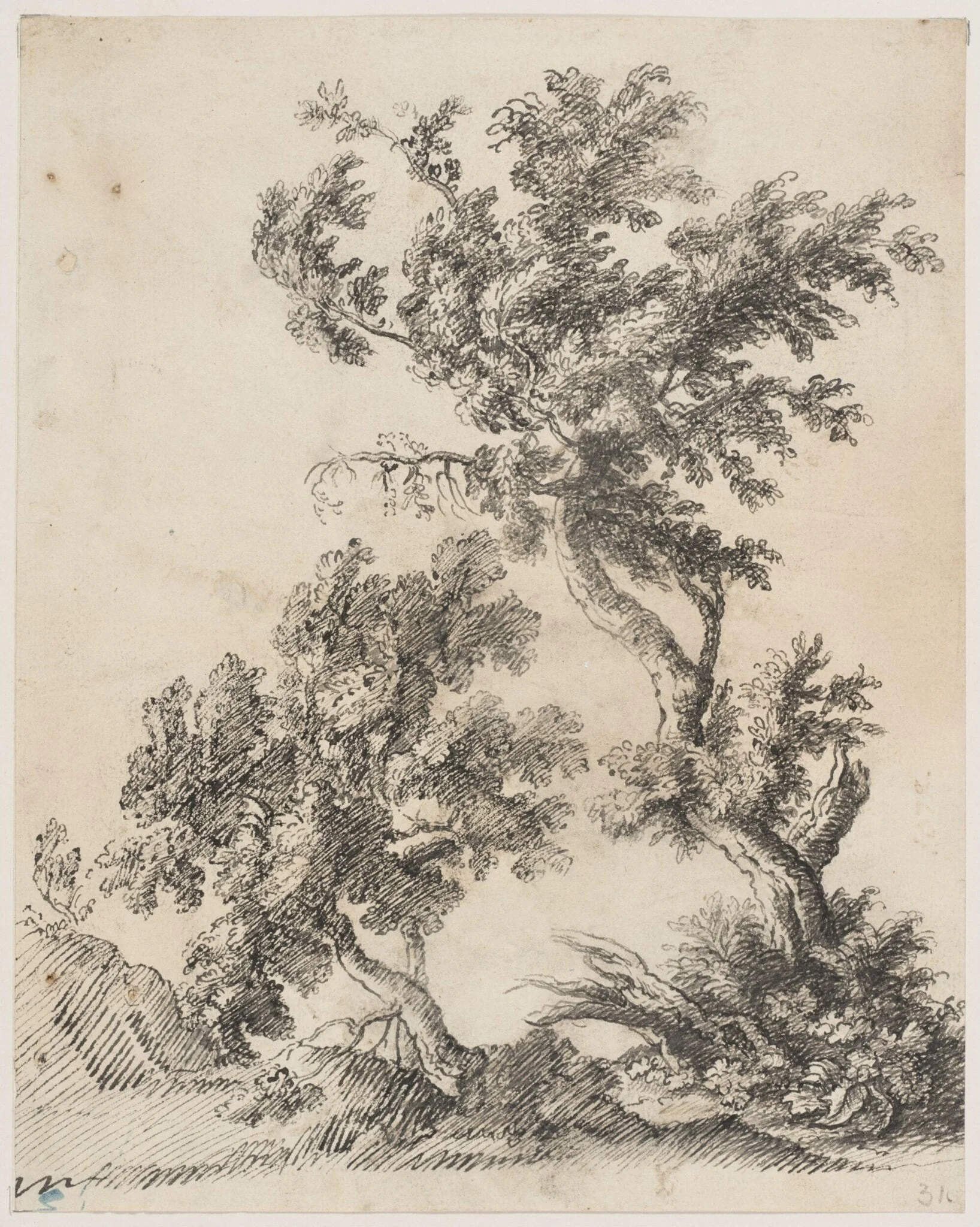 Two Trees, detail