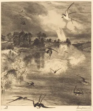 Les Hirondelles (The Swallows), by Félix Bracquemond, ink, 1882
