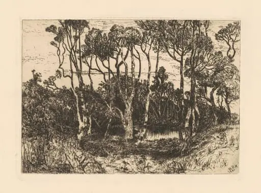 Solitude, by Mary Nimmo Moran, ink, 1880