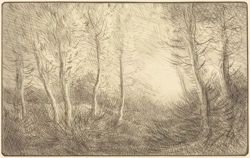 Sunrise, Woods of Clamard (Lever du soleil, bois de Clamard), by Alphonse Legros, ink, 1874