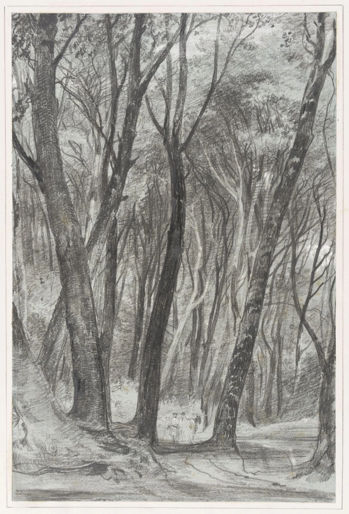 Study of trees, Wotton Woods, Abinger, detail