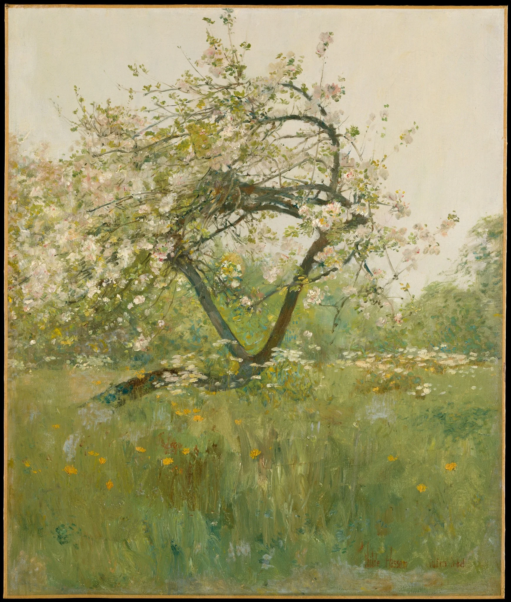 Peach Blossoms—Villiers-le-Bel, detail