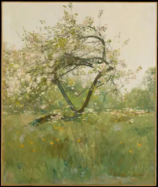 Peach Blossoms—Villiers-le-Bel, by Childe Hassam, oil, 1894