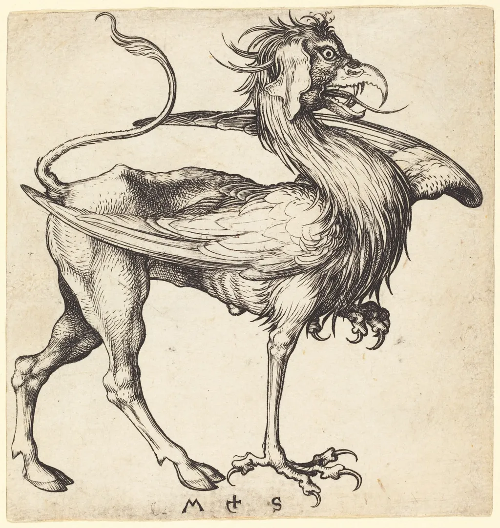 The Griffin, by Martin Schongauer, ink, 1485
