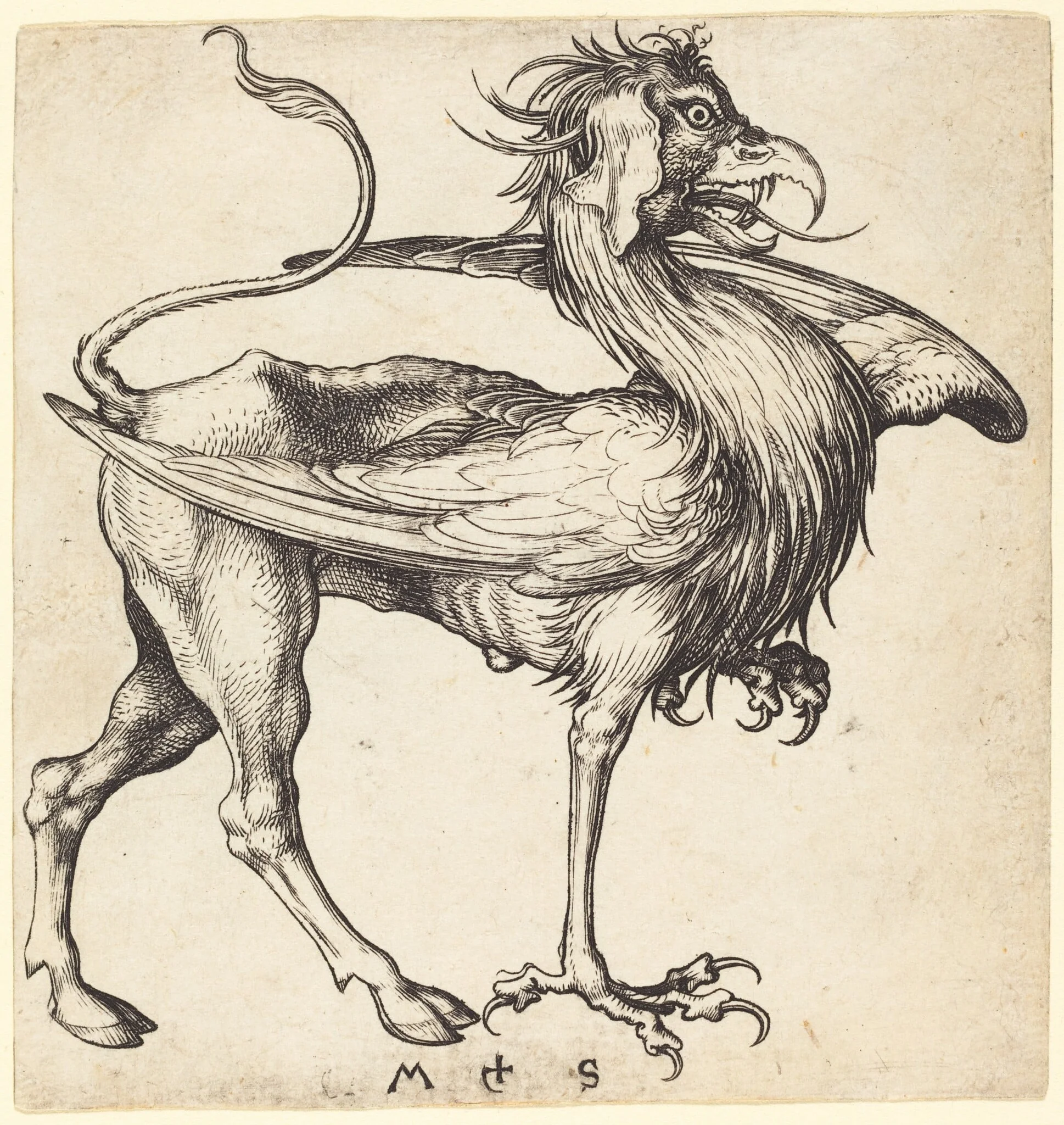 The Griffin, detail