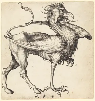 The Griffin, by Martin Schongauer, ink, 1485